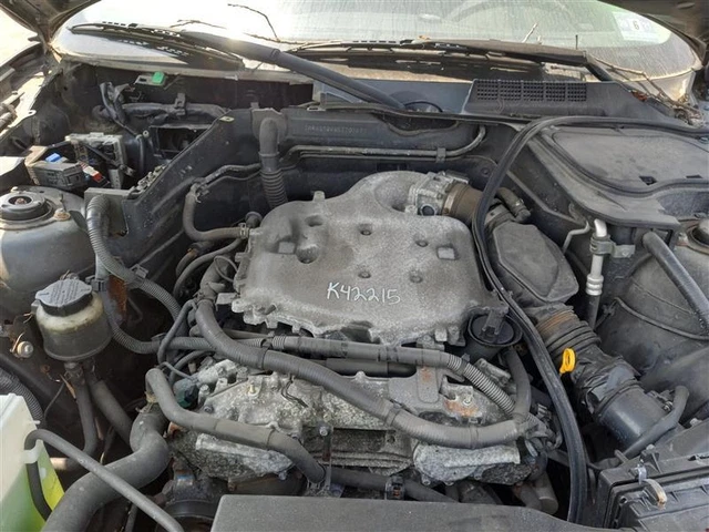 Passenger Corner/Park Light Fog-driving Fits 03-05 INFINITI FX SERIES 8199935