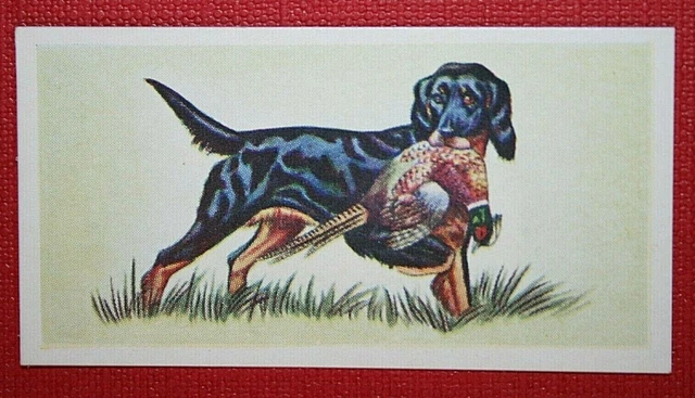 Gordon Setter with Pheasant  Vintage Mini Card  OC09