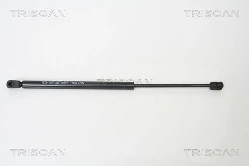 TarosTrade Molla A Gas Per Portellone Con Finestrino Apribile – Compatibile Con Renault Scenic 1999-2003, Codici 7700828454, 6011ABD - 3