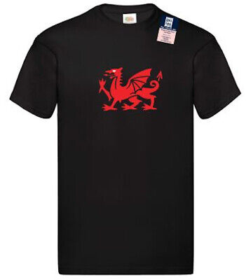 Welsh flag or Welsh Dragon a tee shirt for kids or adults