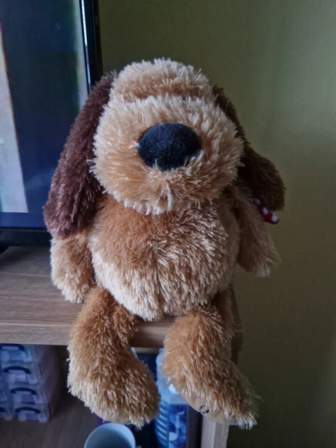 brown dog called chocolate