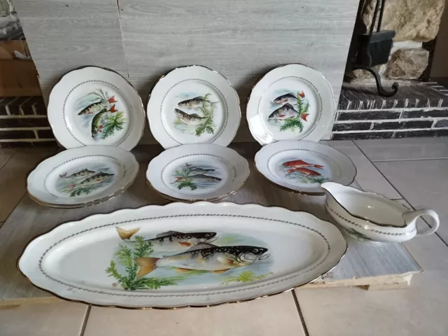 Service A Poissons 12 Assiette En Porcelaine  Limoges Berry  Grand Plat Saucière