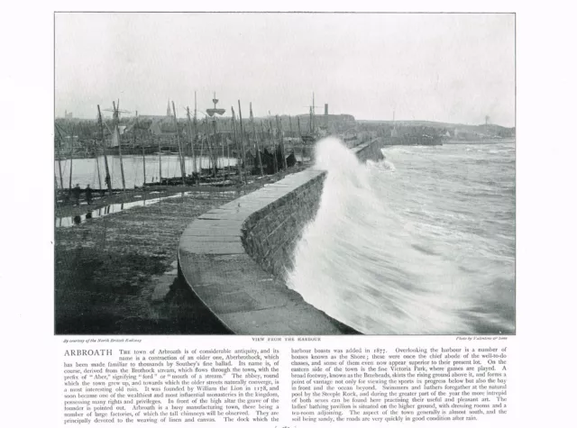 Arbroath Harbour Angus Scotland Antique Picture Print Old Victorian 1900 ROC#282