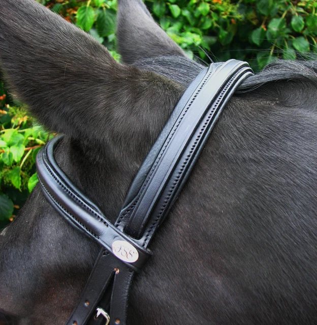 Anatomische Trense Leder F.S.S. FREEWAY MonoCrown Trense In Weiß - Anatomisch Gepolstert Für Dressur Head V Shape