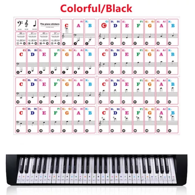 Learn Piano Faster with Laminated Keyboard Stickers Fits 37/49/54/61/88 Keys