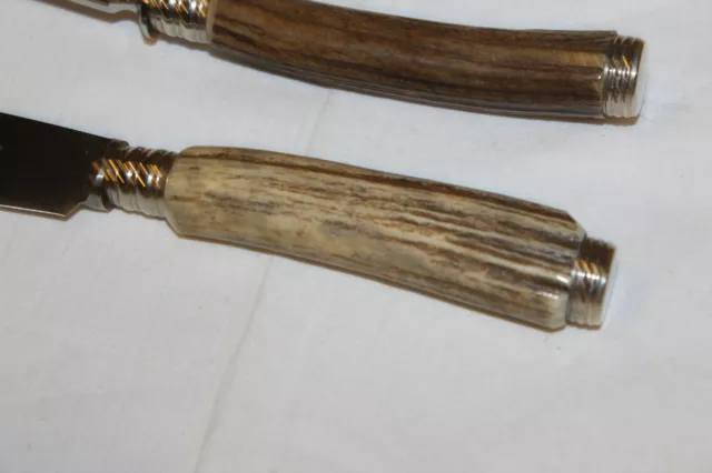 2 Piezas Conjunto de Troceado De Carl Everts Solingen. Horngriff. Grabado 3