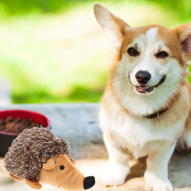 2Pcs Welpen Hund Geschmeidig Interaktive Hund Spielzeug Für Hund Käfig Hause 2