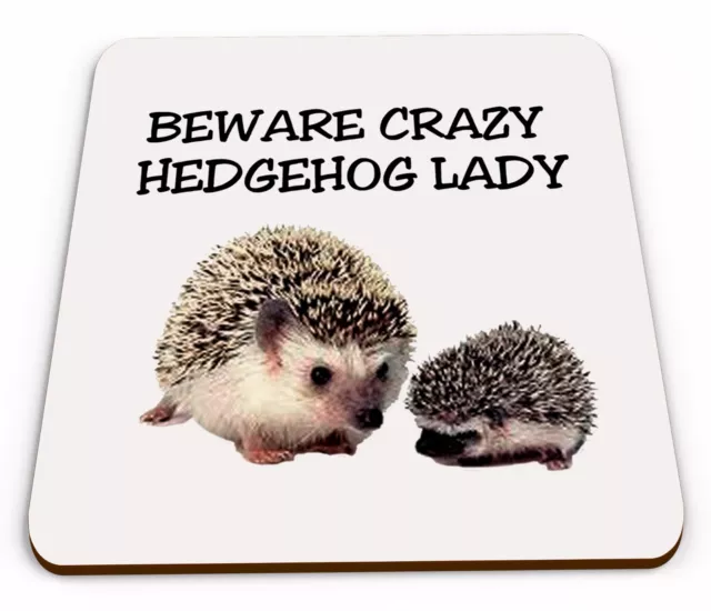 Crazy Hedgehog Lady Novelty Funny Mug Coaster
