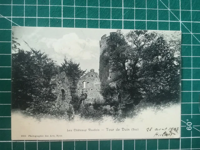 Si143 CPA Be Circa 1900 - Switzerland - Bex - Castle - Tour De Duin