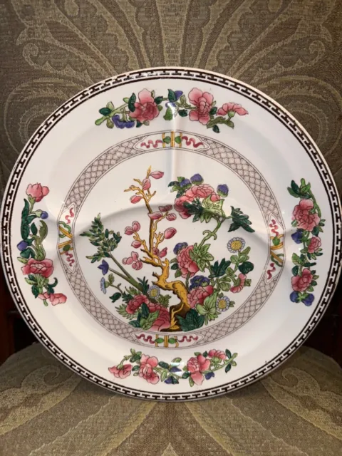 INDIAN TREE Divided Grill Plate CLASSIC PATTERN ENGLAND MINT