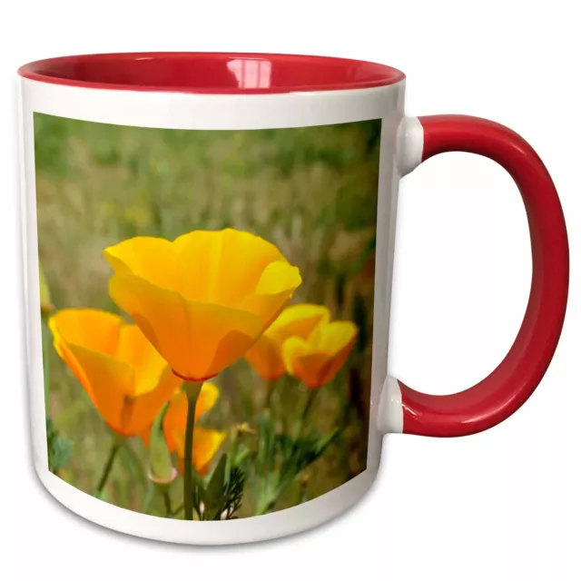 3dRose California Orange Poppies Field Flowers Flower Photograph Mug