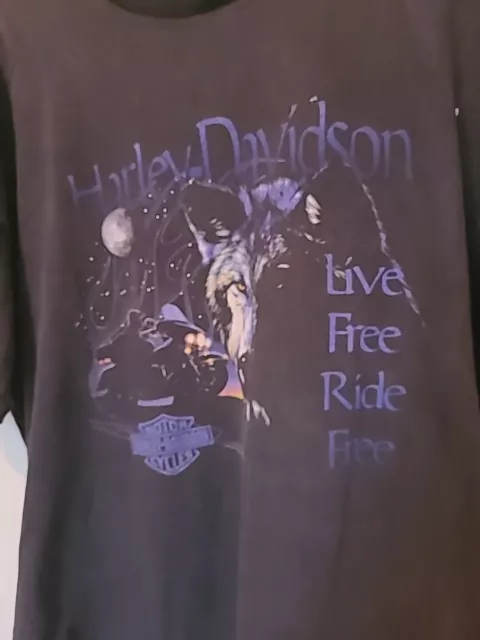 Harley-davidson T Shirt