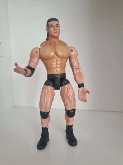 Mike Awesome WCW Action Figure WWE WWF Wrestling Toy Collectible 1999 Toy Biz