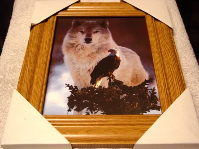 Wolf And Eagle 11X13 Mdf Framed Picture Poster ( Wood Look Frame )