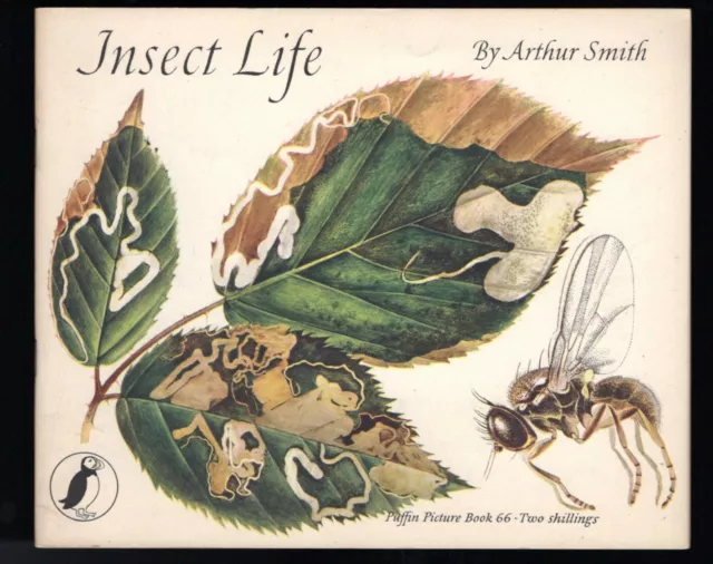 Insect Life-Arthur Smith 1950 1st Puffin Picture Book 66 Nice Ballantine Estate