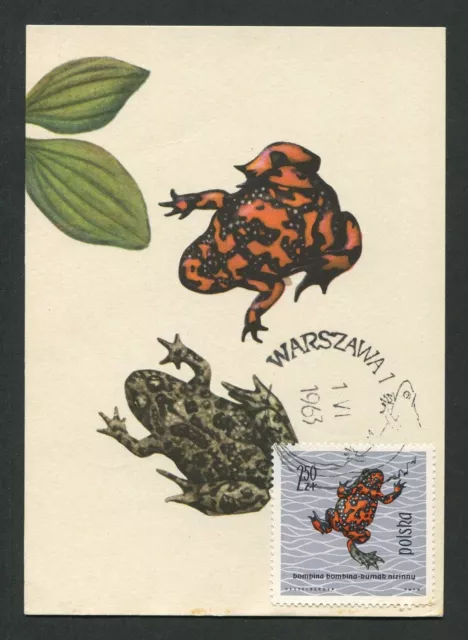 POLEN MK 1963 TIERE KRÖTE UNKE TOAD MAXIMUMKARTE CARTE MAXIMUM CARD MC CM c9048