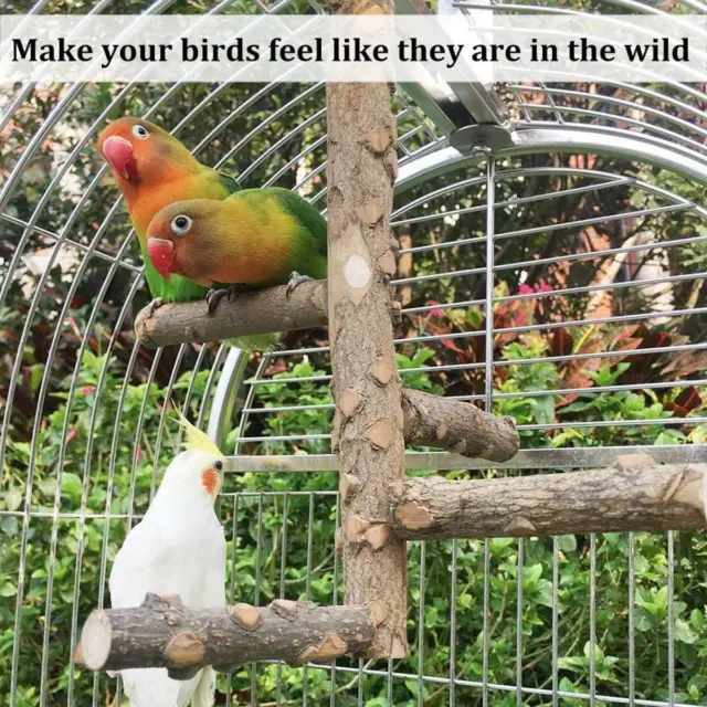 Conure Natürlich Hölzern Kausnack Papageienspielzeug Vogel Barsch Holzständer