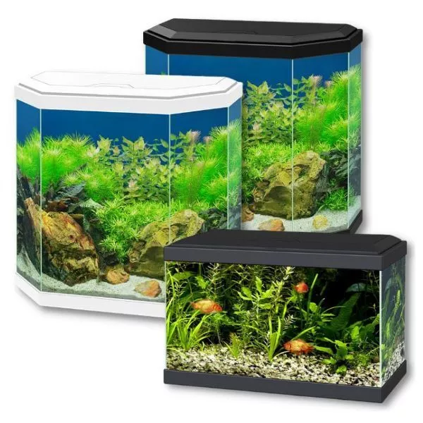 Ciano Aqua Aquarium 20 LED 30 Hex Lighting Hood Filter Beginner Glass Fish Tank