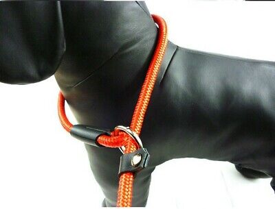 DOG PUPPY Formazione Slip corda per cane Guinzaglio addestramento in nylon forte 1cm Guinzaglio da passeggio 2