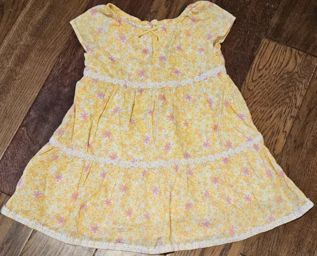 Gymboree Freshly Picked 2T Toddler Girls Dress