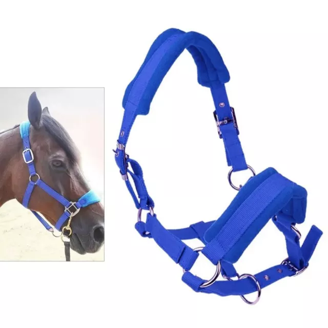 Adjustable Horse Skin Bridle Comfy Horse Rein Headstall  Anti-friction