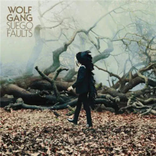 Wolf Gang Suego Faults (CD) Album