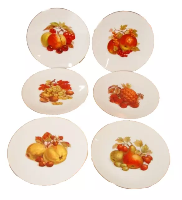 Bareuther Waldsassen Salad Plate Set of 6 Fruit Autumn Harvest Bavaria Germany