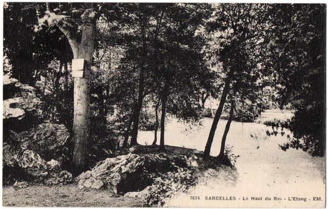 CPA 95 - SARCELLES (Val d'Oise) - 7674. Le Haut du Roi - L'Etang - EM