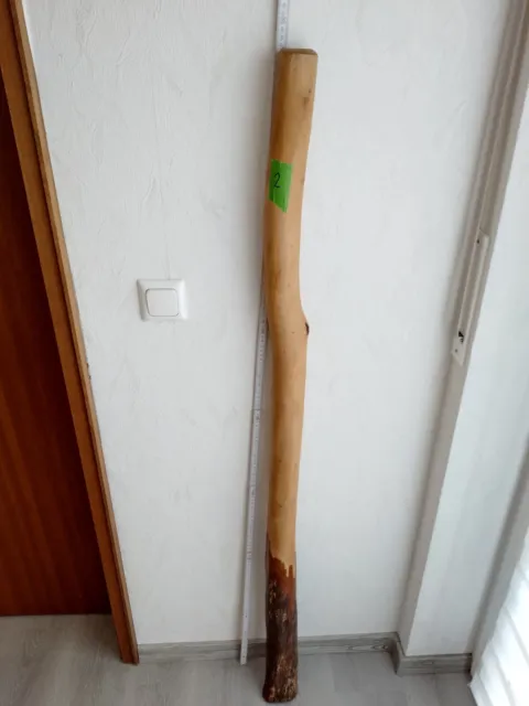 Didgeridoo Eukalyptus, aus Australien
