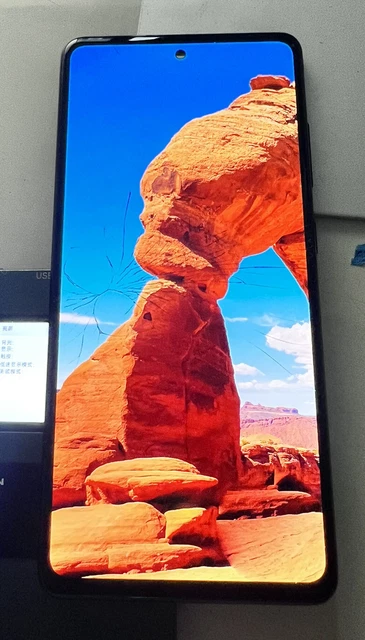 Display OLED originale Samsung Galaxy S20FE per recupero dati S20 FE nero LEGGERE