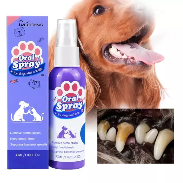Spray limpiador dental para perros y gatos, spray oral para mascotas dientes limpios venta caliente