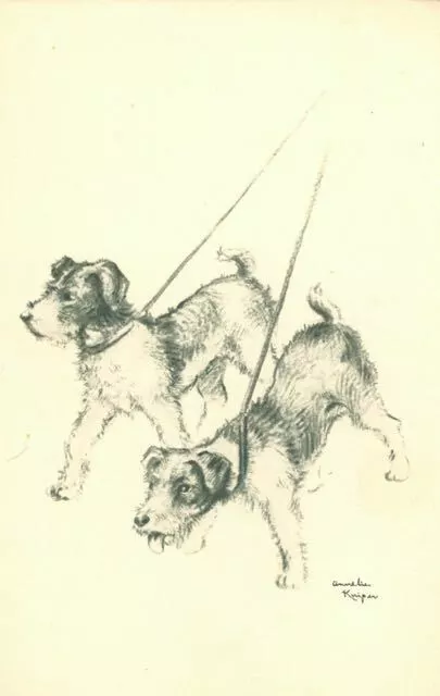 Old Postcard Fox or Jack Russell Terrier Dogs Annelies Kuiper Netherlands c1920s