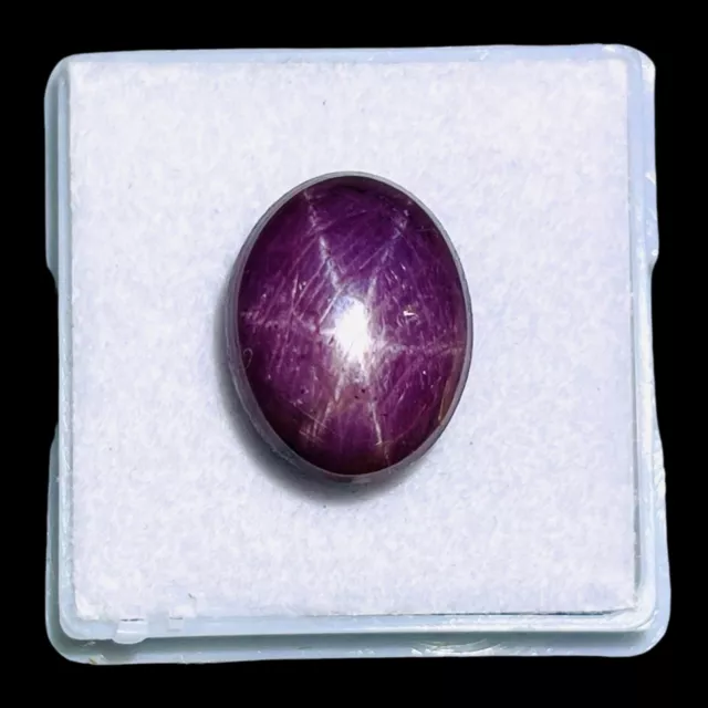 13.45 Cts Unheated Natural Star Ruby 14x10.5mm Cabochon Ring Size Loose Gemstone 2