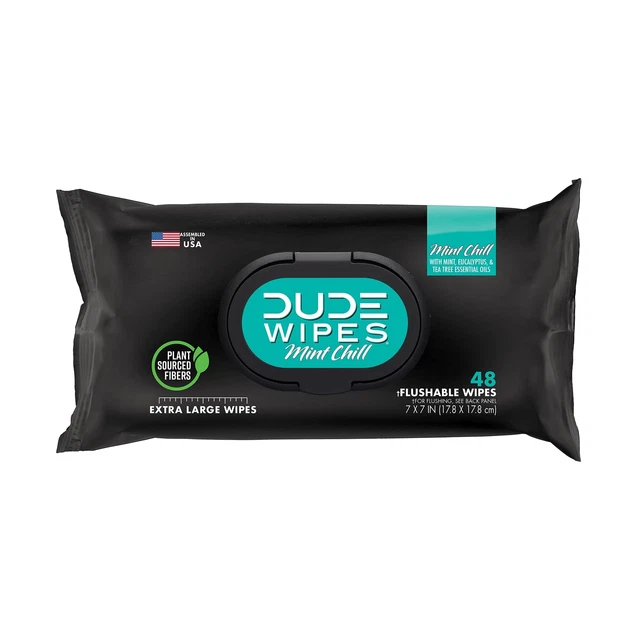 DUDE Wipes Flushable Wipes - 1 Pack, 48 Wipes - Mint Chill Extra-Large Wet Wi...