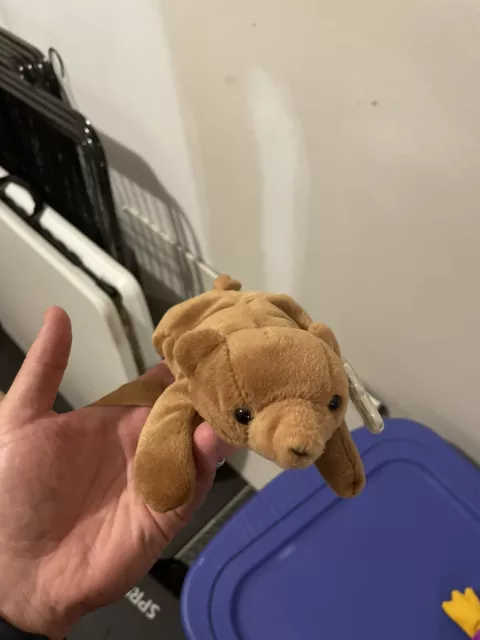 BEANIE BABY: Cubbie With Birthday Tag Error And PVC pellets. RARE 2 Tag Errors!