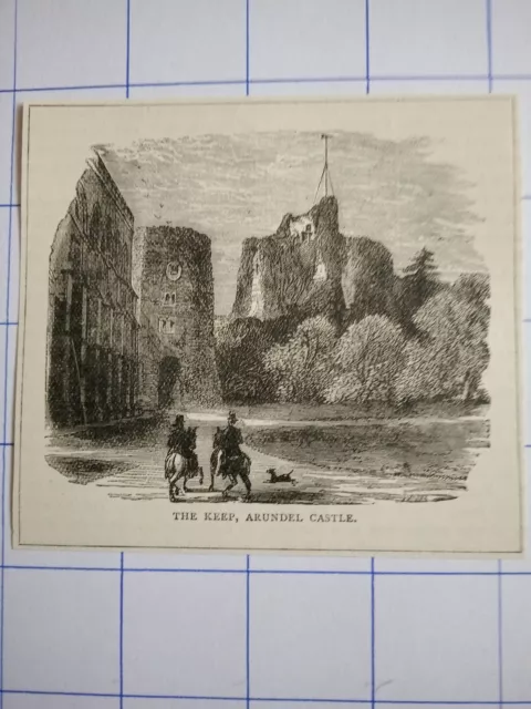 The keep Arundel castle horse dog  illustration 1891