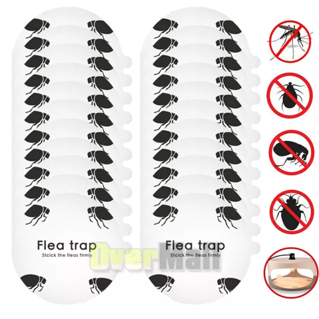 Sticky Bug Flea Bed Bug Trap Sticker Odorless Non-poisonous Natural Flea Killer