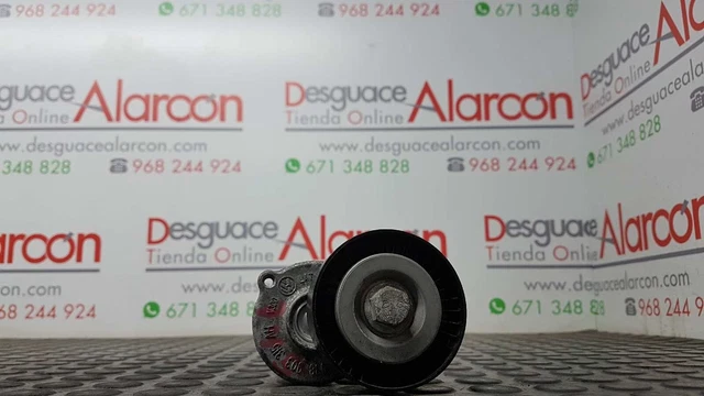 226099 Tendeur De Courroie Auxiliaire Pour Volkswagen Golf Vi (5K1) | 038903315A