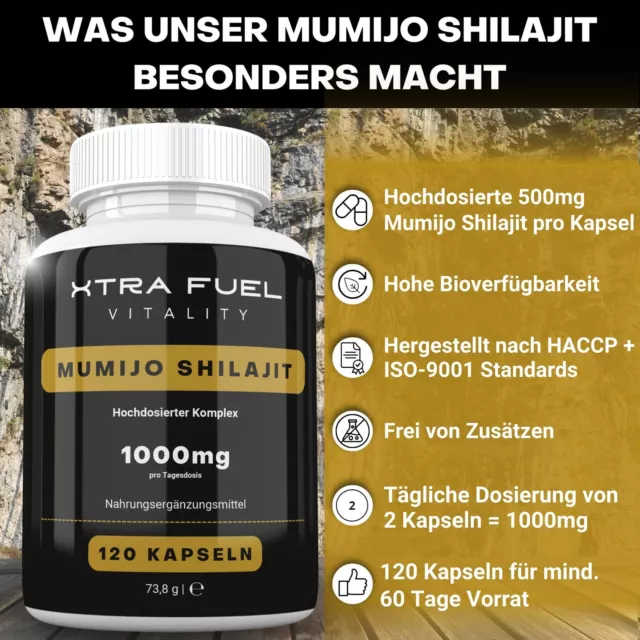 Mumijo Shilajit | 120 Kapseln (hochdosiert) | 1000mg | Fulvin- und Huminsäuren 2