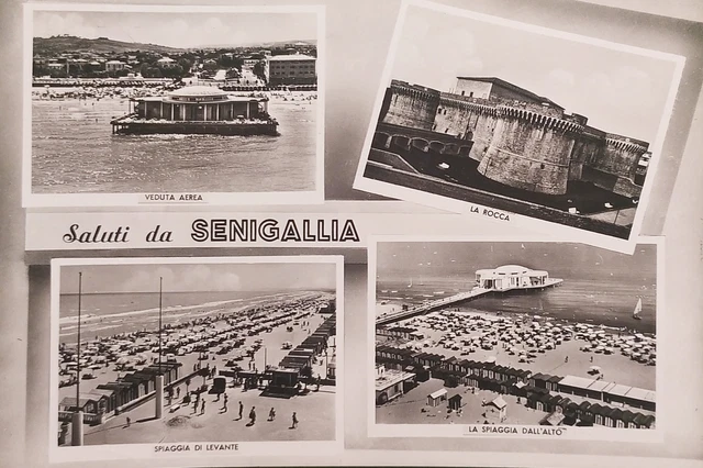 Cartolina - Saluti da Senigallia - Vedute diverse - 1956