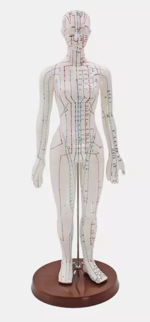 Akupunkturmodell Frau - Lehrreiches Tool für Therapie und Schulungen