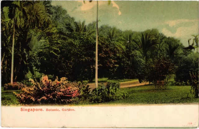 PC SINGAPORE, SINGAPORE BOTANICAL GARDEN, Vintage Postcard (b49416)