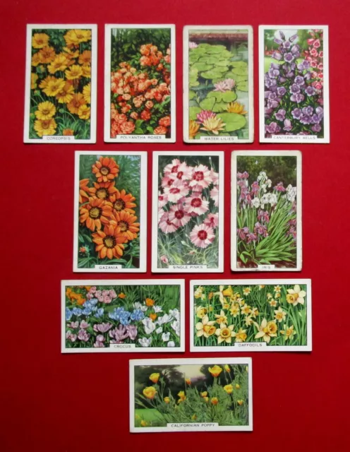 GALLAHER 10 VINTAGE 1938 CIGARETTE CARDS GARDEN FLOWERS FOR No's  SEE PICTURES