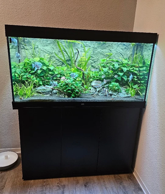 JUWEL AQUARIUM 350L mit Unterschrank, EHEIM Thermoaußenfilter, Inhalt