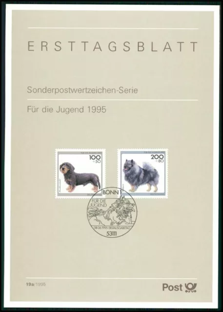 GERMANY DOGS 1995 DACHSHUND DACKEL WOLFSSPITZ DOG CHIENS CANI PERROS HUNDE z3796