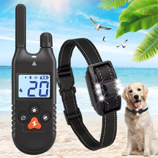 900M Remote Electric Pet Dog Training Collar Shock Anti Bark USB Rechargeable 2