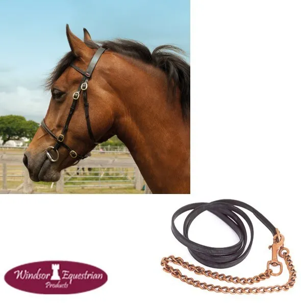 Windsor In-Hand Showing Bridle and Lead  BLACK or HAVANA  Shetland/Pony/Cob/Full