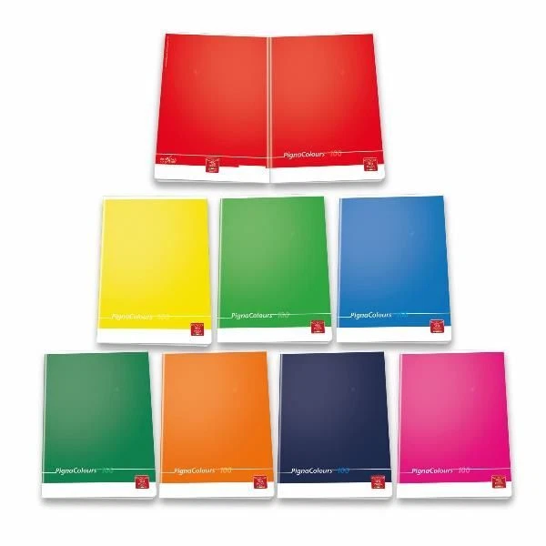 Tannenzapfen Packung 10 Notizbücher Maxi Farben 36 Blatt Sh2 0B 02296580b