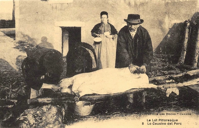 Le Lot Pittoresque - le cousino del Porc