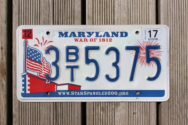 LOT DE 10 Plaques D'immatriculation Américaines En Métal USA - Foto 5